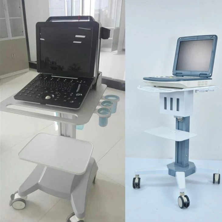 4D Color Echo Cardiac Ultrasound Diagnosis System 4D Color Echo Cardiac Ultrasound Diagnosis System