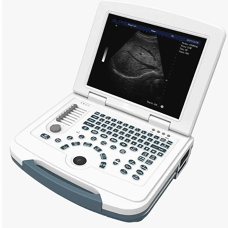 Digital Back Fat Ultrasound Scanner
